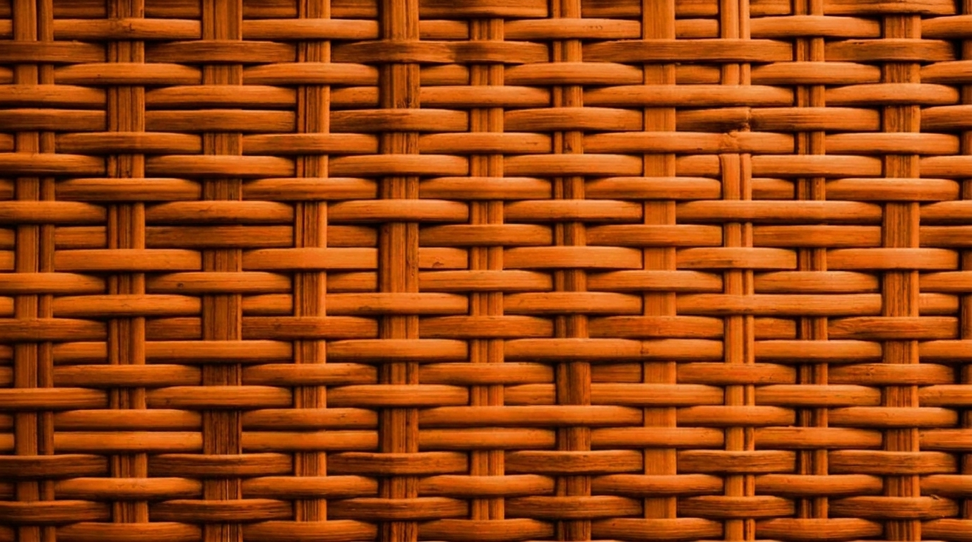 Friendly Orange